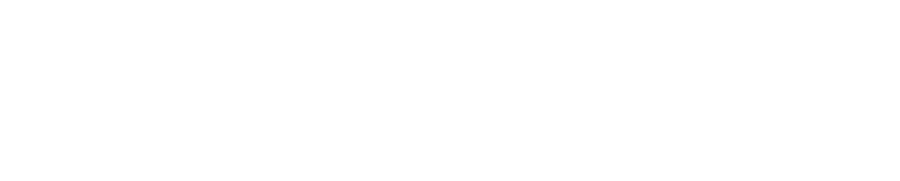 Catnip Productions